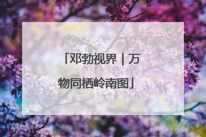 邓勃视界｜万物同栖岭南图
