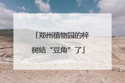 郑州植物园的梓树结“豆角”了