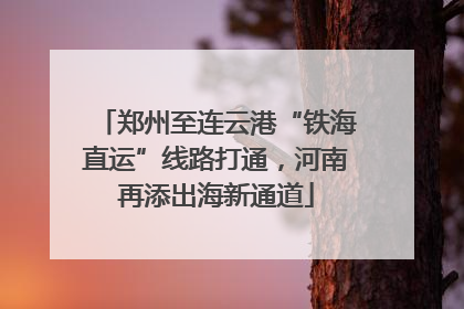 郑州至连云港“铁海直运”线路打通，河南再添出海新通道