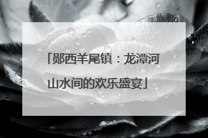 郧西羊尾镇：龙潭河山水间的欢乐盛宴