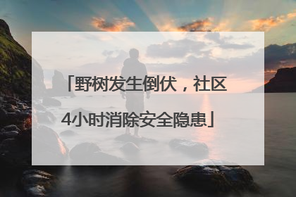 野树发生倒伏，社区4小时消除安全隐患