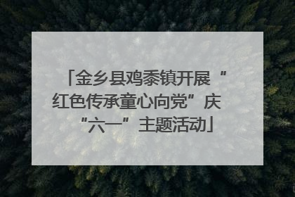 金乡县鸡黍镇开展“红色传承童心向党”庆“六一”主题活动