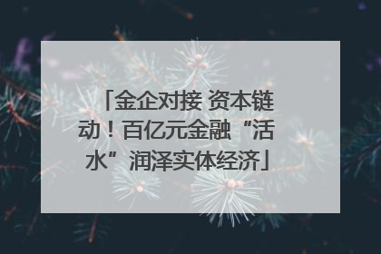金企对接 资本链动！百亿元金融“活水”润泽实体经济
