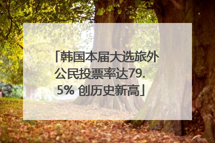 韩国本届大选旅外公民投票率达79.5% 创历史新高