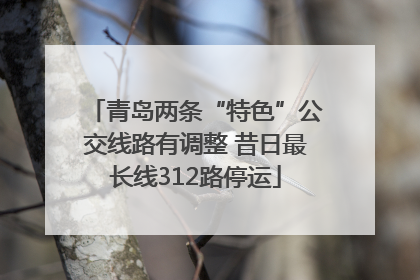 青岛两条“特色”公交线路有调整 昔日最长线312路停运