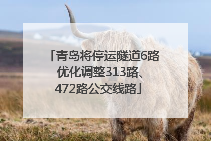 青岛将停运隧道6路 优化调整313路、472路公交线路