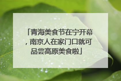 青海美食节在宁开幕，南京人在家门口就可品尝高原美食啦