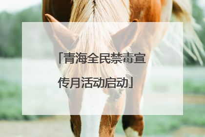 青海全民禁毒宣传月活动启动