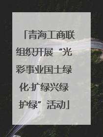 青海工商联组织开展“光彩事业国土绿化·扩绿兴绿护绿”活动
