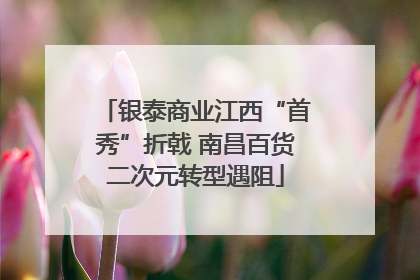 银泰商业江西“首秀”折戟 南昌百货二次元转型遇阻