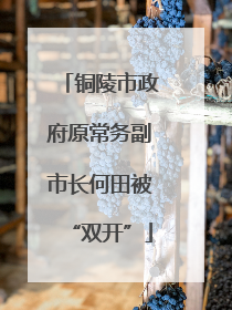 铜陵市政府原常务副市长何田被“双开”