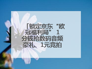 锁定京东“欧冠福利局” 1分钱抢数码音频豪礼、1元竞拍巨星亲签球衣