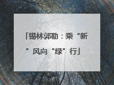 锡林郭勒：乘“新”风向“绿”行