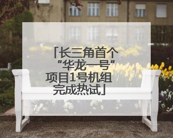 长三角首个“华龙一号”项目1号机组完成热试