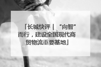 长城快评｜“向智”而行，建设全国现代商贸物流重要基地