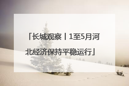 长城观察丨1至5月河北经济保持平稳运行