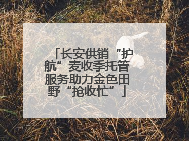 长安供销“护航”麦收季托管服务助力金色田野“抢收忙”