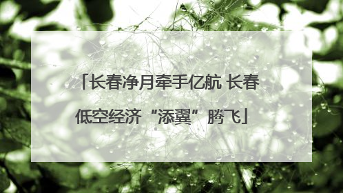 长春净月牵手亿航 长春低空经济“添翼”腾飞