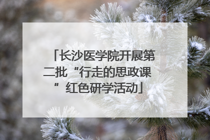长沙医学院开展第二批“行走的思政课”红色研学活动