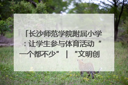 长沙师范学院附属小学：让学生参与体育活动“一个都不少”｜“文明创建耀三湘”专栏