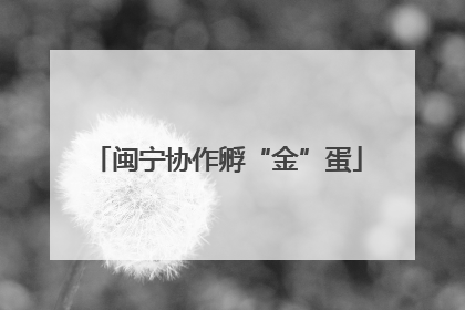 闽宁协作孵“金”蛋