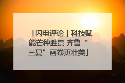 闪电评论｜科技赋能芒种胜景 齐鲁“三夏”画卷更壮美