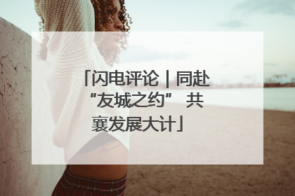 闪电评论｜同赴“友城之约” 共襄发展大计