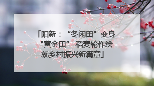 阳新：“冬闲田”变身“黄金田” 稻麦轮作绘就乡村振兴新篇章