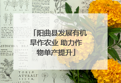 阳曲县发展有机旱作农业 助力作物单产提升