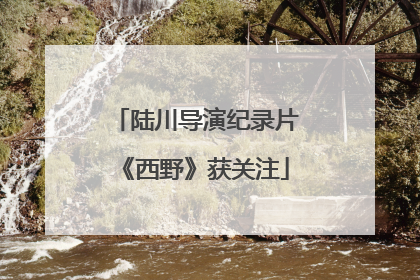 陆川导演纪录片《西野》获关注