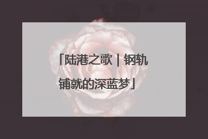 陆港之歌｜钢轨铺就的深蓝梦