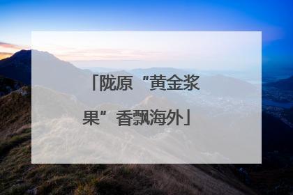 陇原“黄金浆果”香飘海外