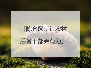 陈仓区：让农村后备干部更有为