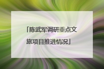 陈武军调研重点文旅项目推进情况