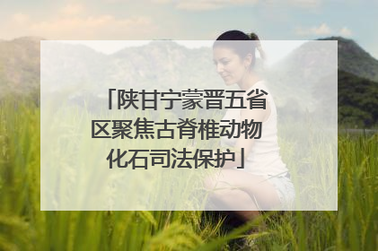 陕甘宁蒙晋五省区聚焦古脊椎动物化石司法保护
