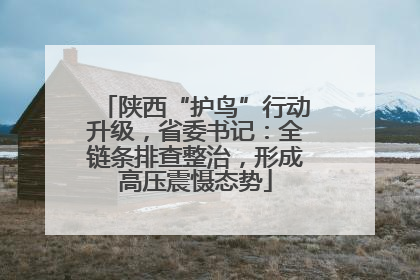 陕西“护鸟”行动升级，省委书记：全链条排查整治，形成高压震慑态势