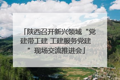 陕西召开新兴领域“党建带工建 工建服务党建”现场交流推进会