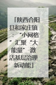 陕西合阳县和家庄镇：“小网格”汇聚“大能量” 激活基层治理新动能