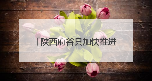 陕西府谷县加快推进老旧小区改造 为居民幸福生活“加码”