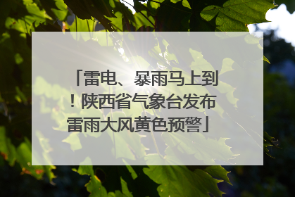 雷电、暴雨马上到！陕西省气象台发布雷雨大风黄色预警