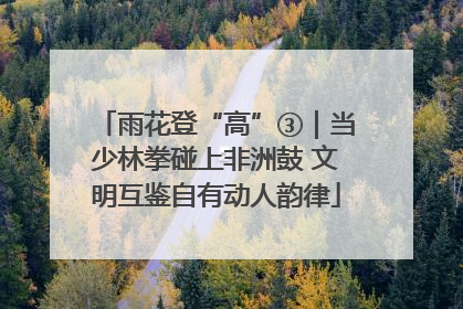 雨花登“高”③｜当少林拳碰上非洲鼓 文明互鉴自有动人韵律
