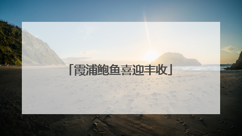 霞浦鲍鱼喜迎丰收