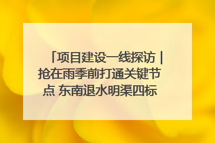 项目建设一线探访｜抢在雨季前打通关键节点 东南退水明渠四标段项目顺利完工