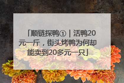 顺链探鸭①｜活鸭20元一斤，街头烤鸭为何却能卖到20多元一只