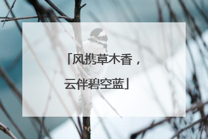 风携草木香，云伴碧空蓝