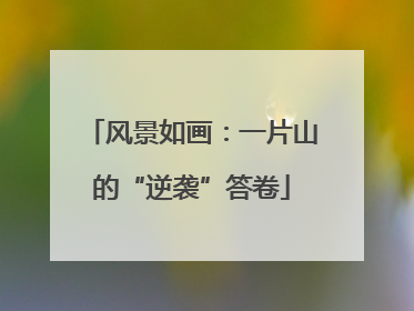 风景如画：一片山的“逆袭”答卷
