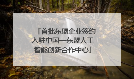 首批东盟企业签约入驻中国—东盟人工智能创新合作中心