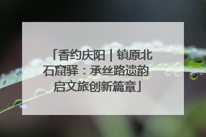 香约庆阳｜镇原北石窟驿：承丝路遗韵 启文旅创新篇章