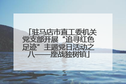 驻马店市直工委机关党支部开展“追寻红色足迹”主题党日活动之八——鏖战独树镇