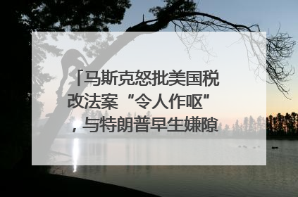 马斯克怒批美国税改法案“令人作呕”，与特朗普早生嫌隙？｜国际识局
